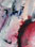thumbnail cellular-imprint 