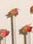thumbnail_2