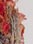 thumbnail_2
