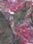 thumbnail_20