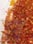 thumbnail_21