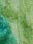 thumbnail_28
