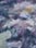 thumbnail_26