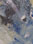 thumbnail_3